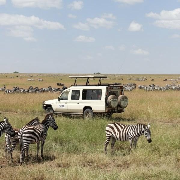 Safari em Zanzibar